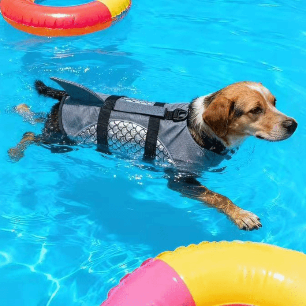 Life Jacket Buoyancy - Güçlü Yüzdürme Köpek Can Yeleği Parlak