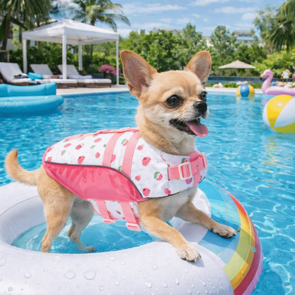 Life Jacket Buoyancy - Ayarlanabilir Köpek Can Yeleği Yüksek Yüzdürme