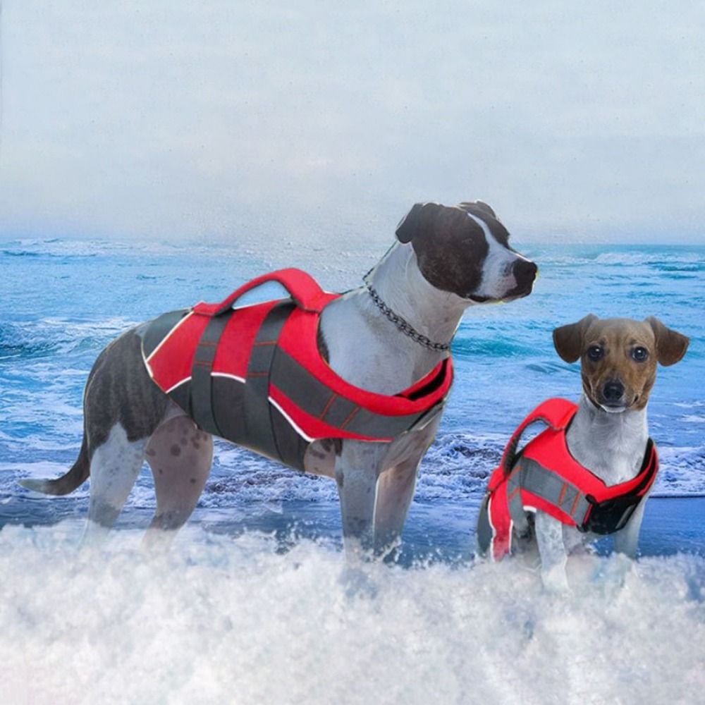 Yansıtıcı Köpek Can Yeleği Aya - Life Jacket Buoyancy incelemesi ve fiyatı