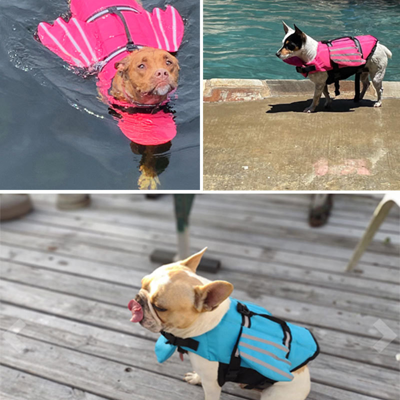 Köpek Can Yeleği Yansıtıcı Aya - Life Jacket Buoyancy incelemesi ve fiyatı
